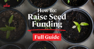 seed funding guide